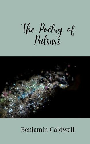 Cover image for The Poetry of Pulsars