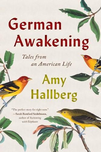 Cover image for German Awakening: Tales from an American Life