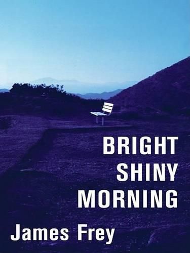 Cover image for Bright Shiny Morning