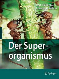 Cover image for Der Superorganismus: Der Erfolg von Ameisen, Bienen, Wespen und Termiten