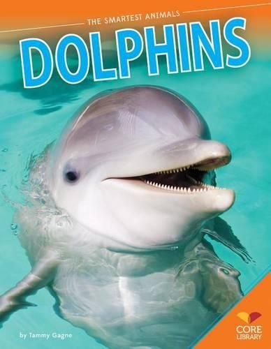 Cover image for Dolphins