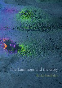 Cover image for The Luminous and the Grey