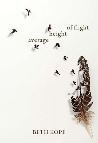 Cover image for Average Height of Flight