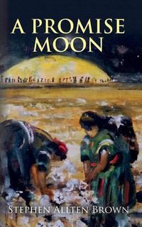 Cover image for A Promise Moon