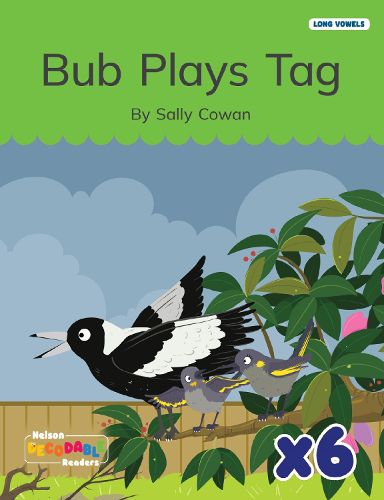 Cover image for Bub Plays Tag x 6 (Long Vowels Alternative Spellings)