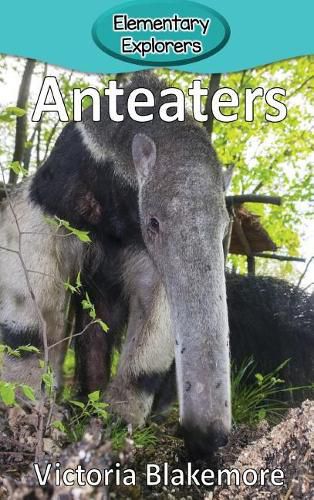 Cover image for Anteaters
