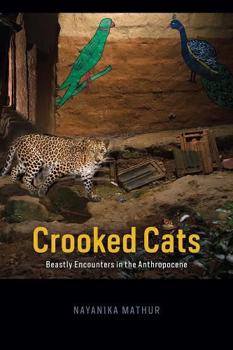 Cover image for Crooked Cats: Beastly Encounters in the Anthropocene