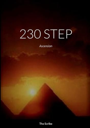 Cover image for 230 Step