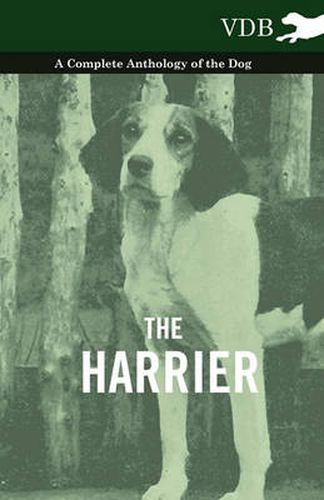 Cover image for The Harrier - A Complete Anthology of the Dog