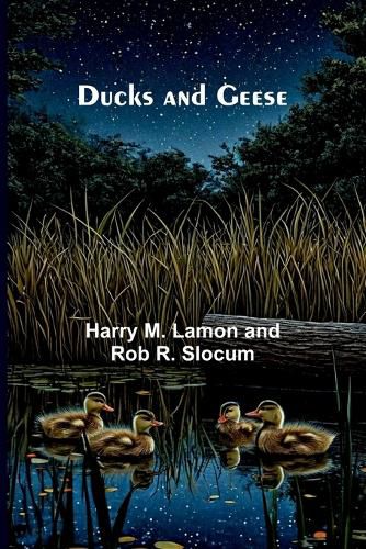 Cover image for The Big Four (Edition1)