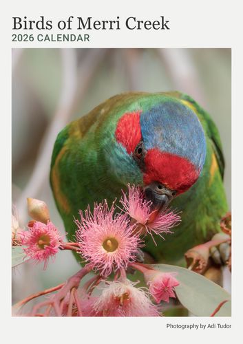 Cover image for Birds of the Merri Creek 2026 Calendar