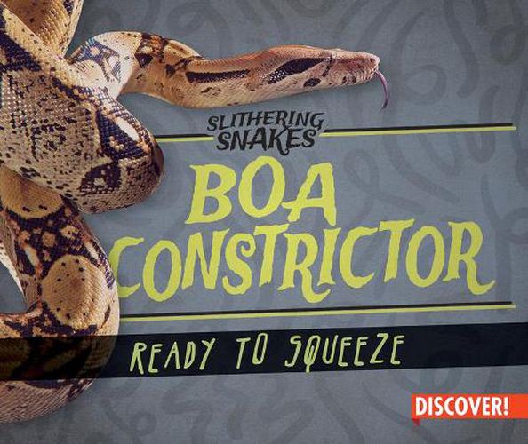 Cover image for Boa Constrictor: Ready to Squeeze