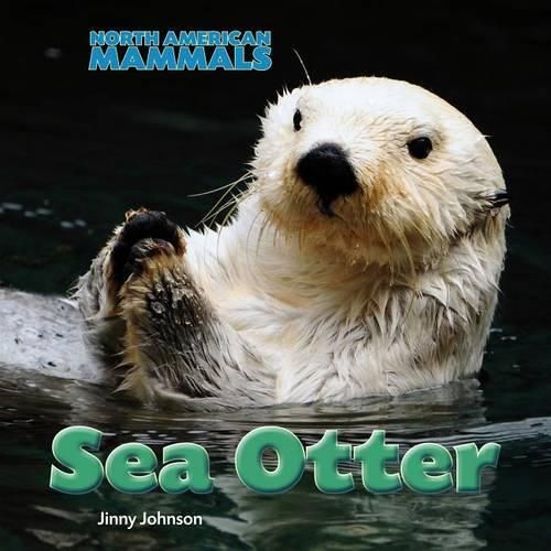 Cover image for Sea Otter