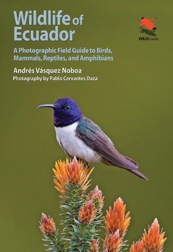 Cover image for Wildlife of Ecuador: A Photographic Field Guide to Birds, Mammals, Reptiles, and Amphibians