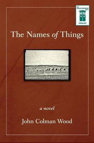 Cover image for The Names of Things