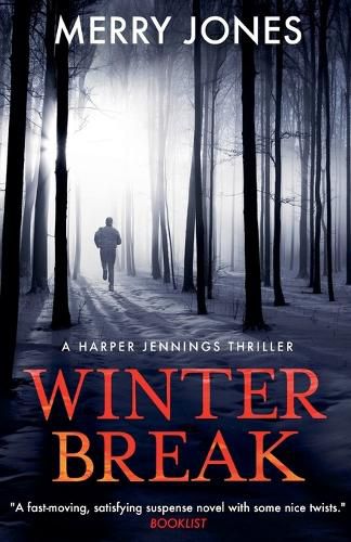 Cover image for Winter Break