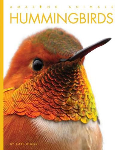 Hummingbirds