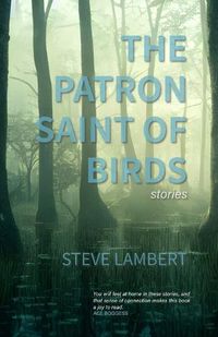 Cover image for The Patron Saint of Birds (+2)