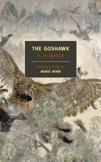 Cover image for The Goshawk