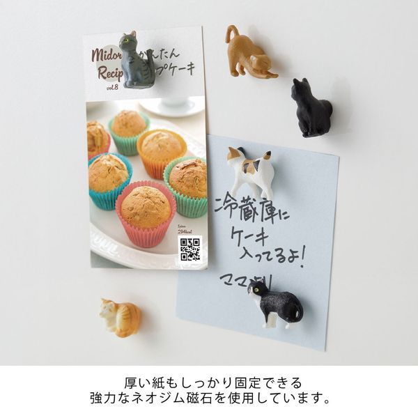 Cat - Mini Magnet 6 Piece