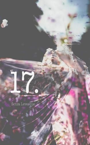 Cover image for 17