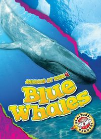 Cover image for Blue Whales