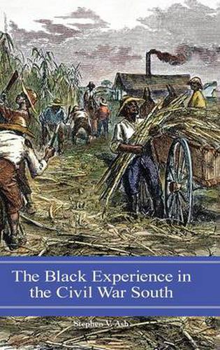 Cover image for The Black Experience in the Civil War South