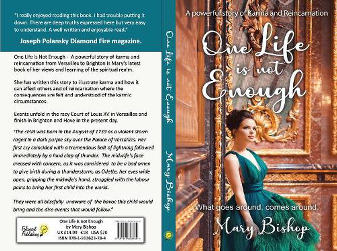 Cover image for One Life is Not Enough