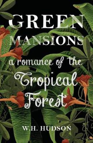 Green Mansions - A Romance of the Tropical Forest