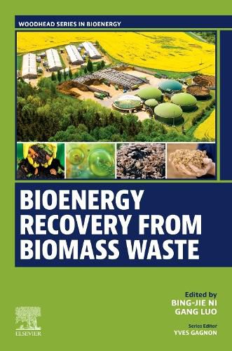 Cover image for Bioenergy Recovery from Biomass Waste