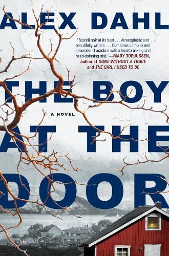 Cover image for The Boy at the Door