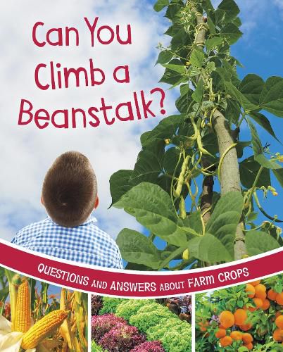 Can You Climb a Beanstalk?: Questions and Answers About Farm Crops