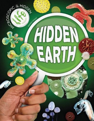 Cover image for Hidden Earth