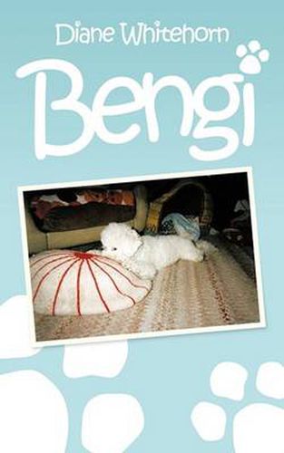 Cover image for Bengi