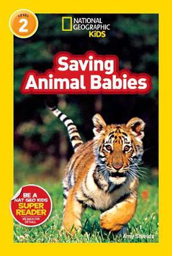 Cover image for National Geographic Kids Readers: Saving Animal Babies