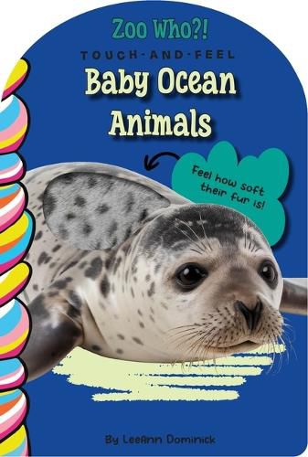 Cover image for Baby Ocean Animals Touch and Feel