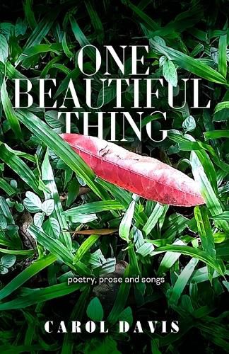 Cover image for One Beautiful Thing