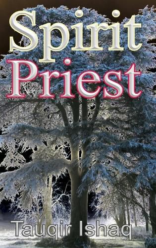 Cover image for Spirit Priest