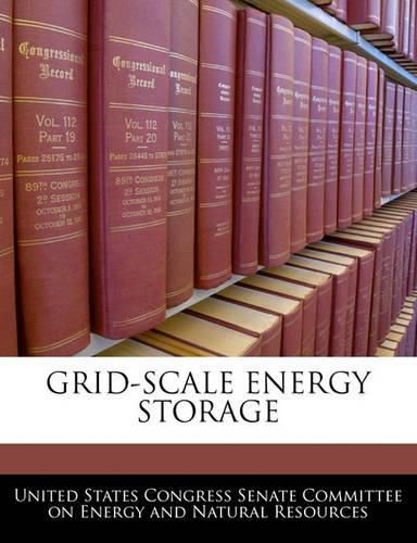 Cover image for Grid-Scale Energy Storage