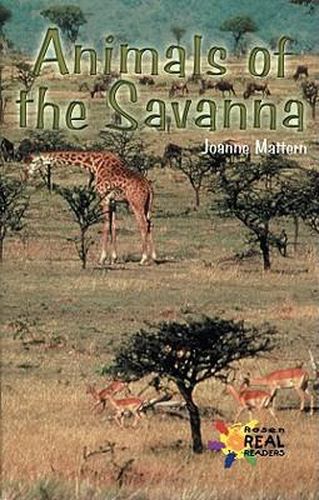 Animals of the Savanna