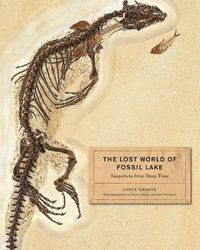 Cover image for The Lost World of Fossil Lake