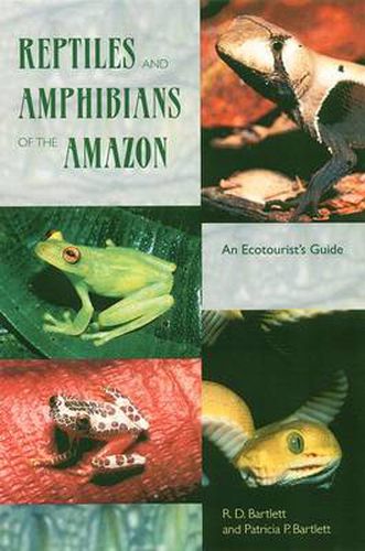 Cover image for Reptiles and Amphibians of the Amazon: An Ecotourist's Guide