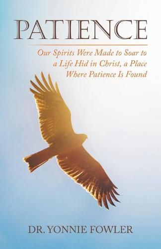 Cover image for Patience: Our Spirits Were Made to Soar to a Life Hid in Christ, a Place Where Patience Is Found