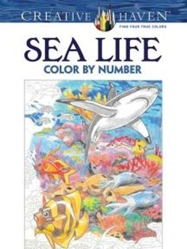 Cover image for Creative Haven Sea Life Color by Number Coloring Book