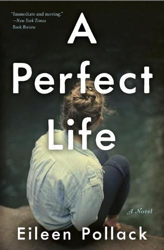 Cover image for A Perfect Life