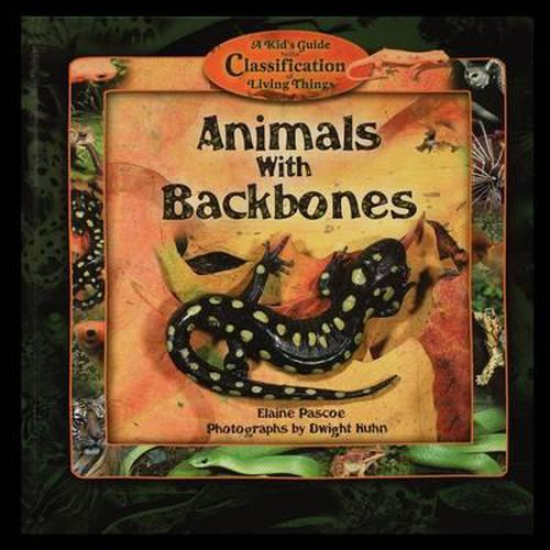 Cover image for Animals with Backbones