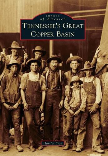 Cover image for Tennessee's Great Copper Basin