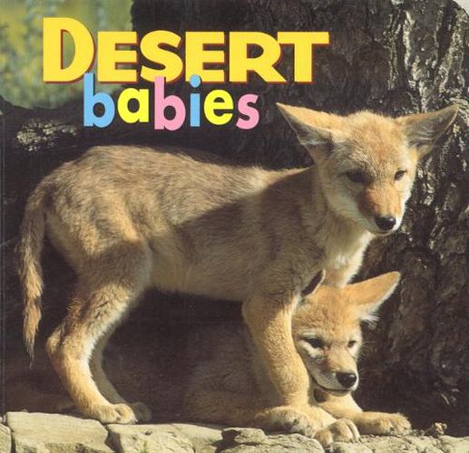 Cover image for Desert Babies