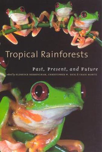 Cover image for Tropical Rainforests: Past, Present and Future