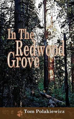 Cover image for In The Redwood Grove